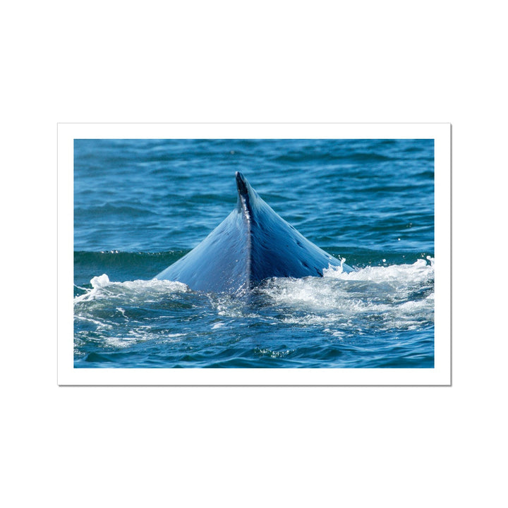 Текстуры - Рулонный холст