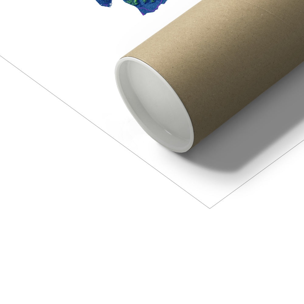 Dinamarca - Mapa de elevação, branco - Impressão de belas artes