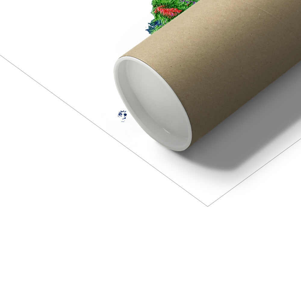 Inglaterra - Mapa de elevação, branco - Impressão de belas artes