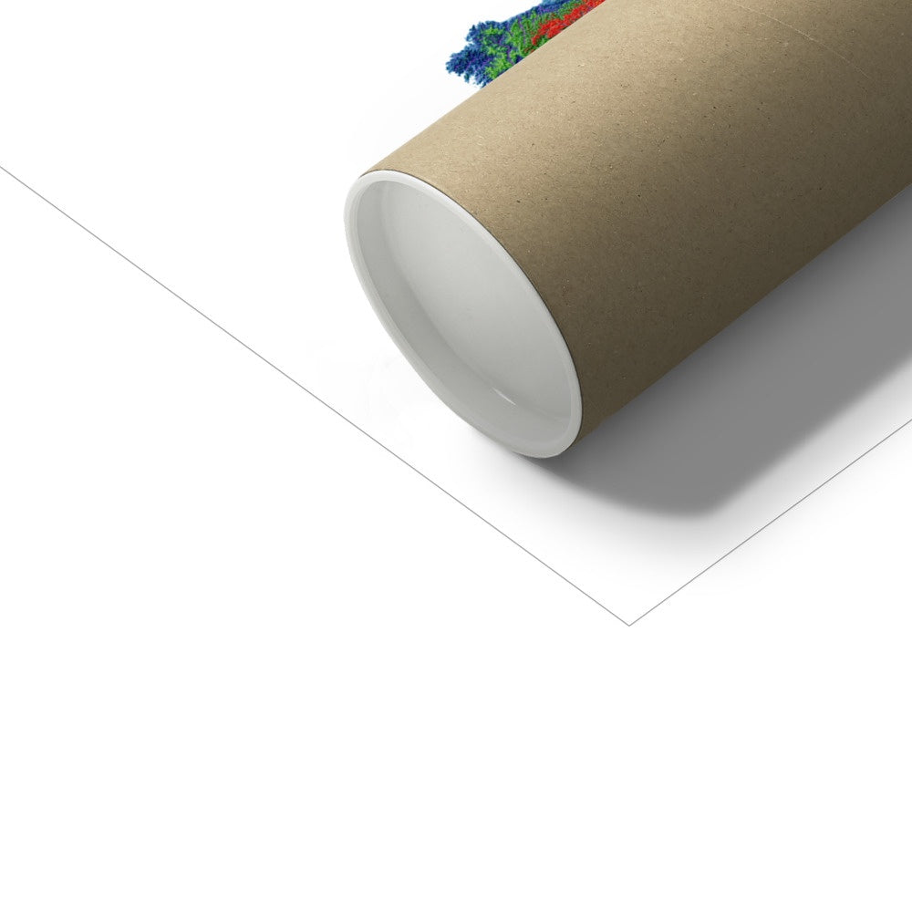 Europa - Mapa de elevação, branco - Impressão de belas artes