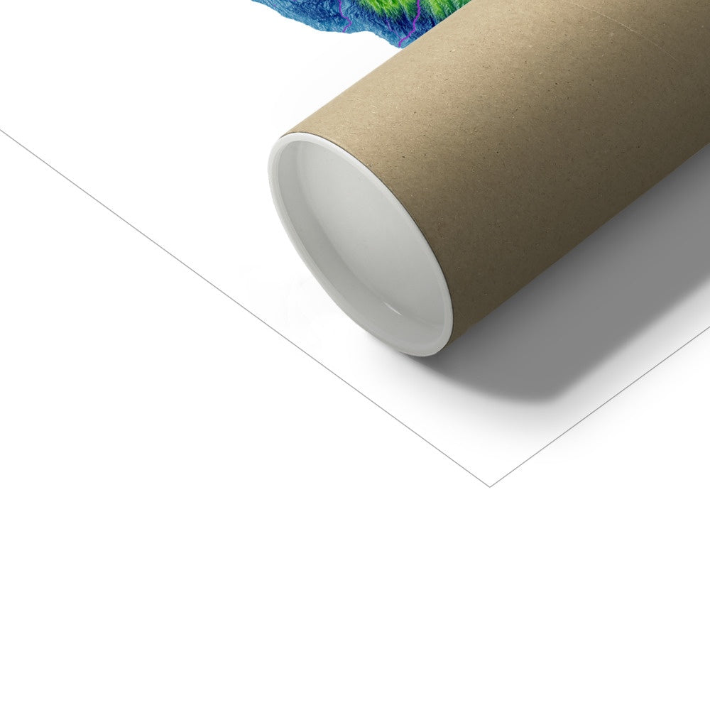 Madagascar - Mapa de elevación, blanco - Impresión de Bellas Artes