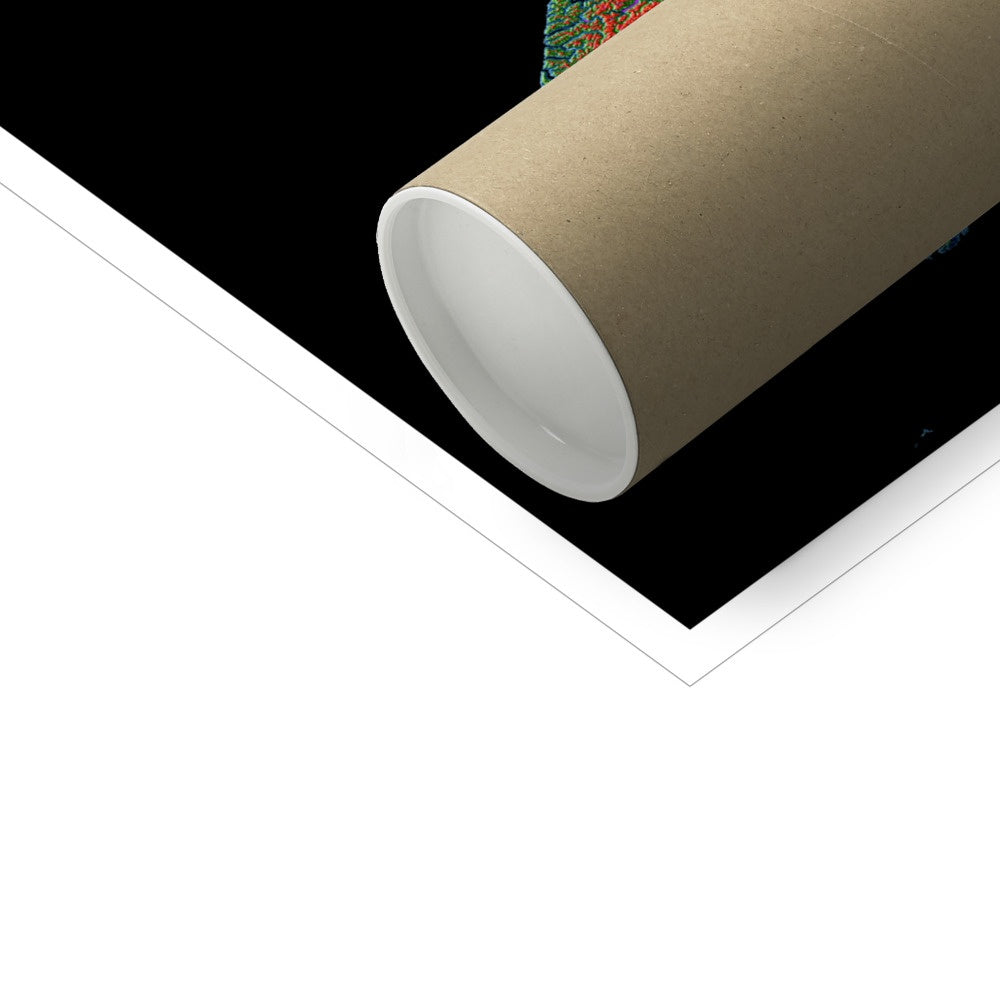 Nueva Zelanda - Mapa de elevación, negro - Impresión de Bellas Artes