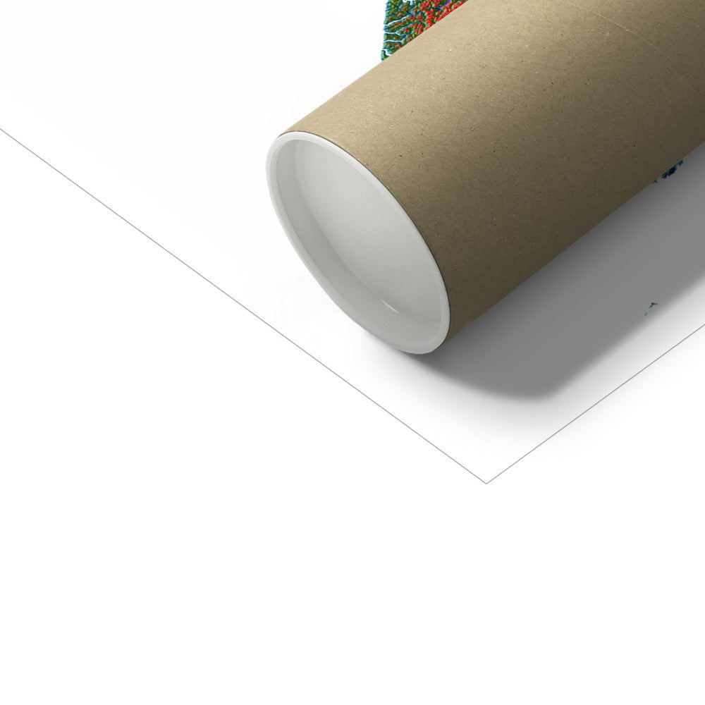 Nueva Zelanda - Mapa de elevación, blanco - Impresión de Bellas Artes