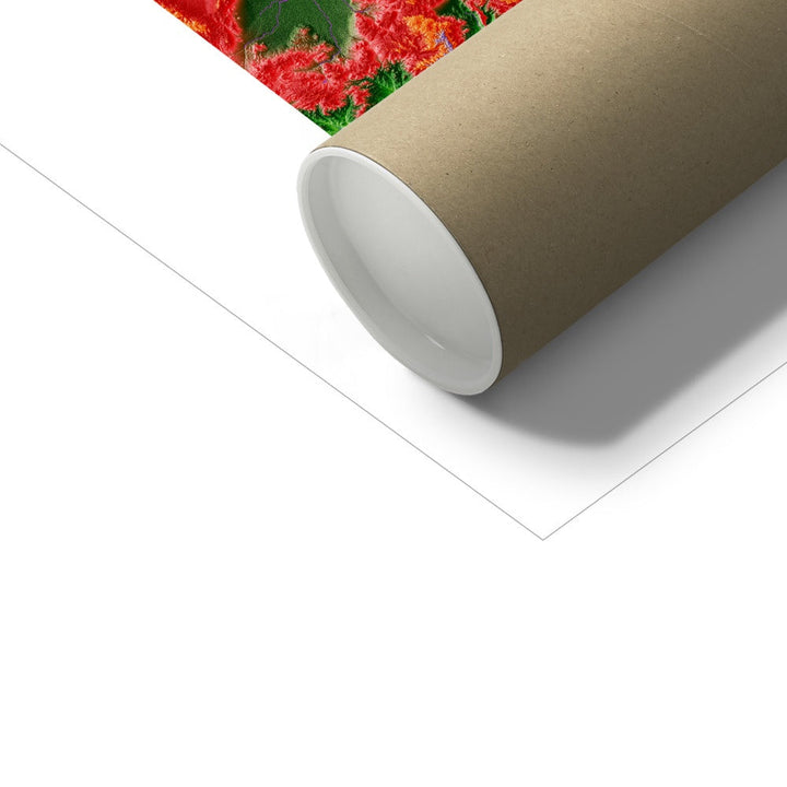 Utah - Mapa de elevação, branco - Impressão de belas artes