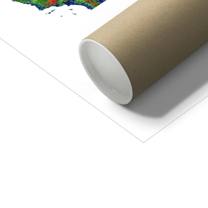 The United States - Elevation map, white - Fine Art Print