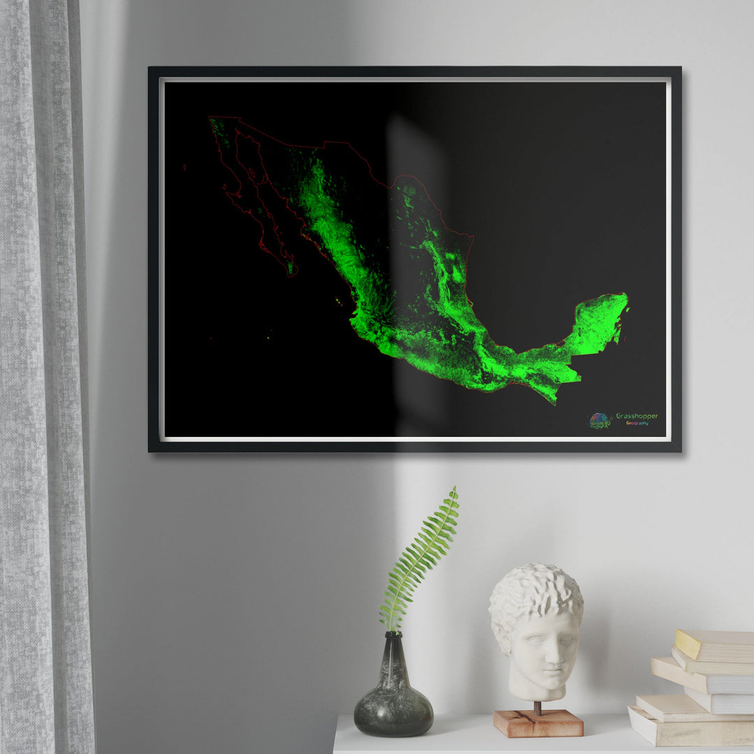 Мексика - Карта лесного покрова - Fine Art Print
