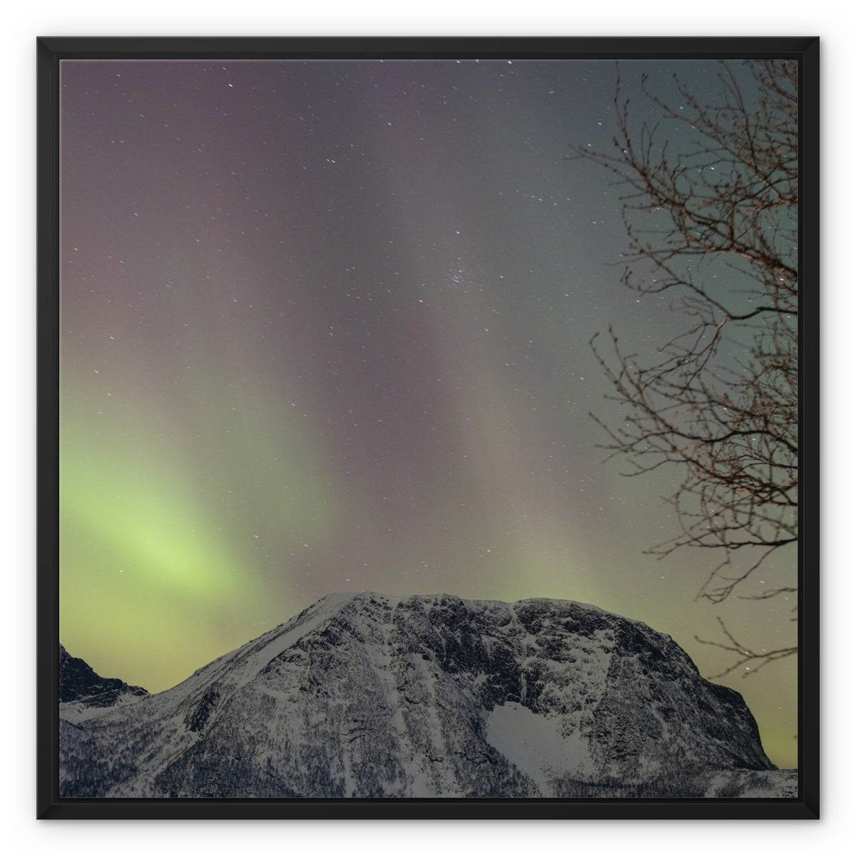 Aurora above Lundøya III Framed Canvas Geography