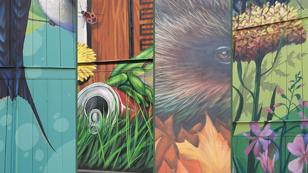 A montage of the four Mondolo Street Art projects that will be discussed in the blog post series, showing details of the wall murals.