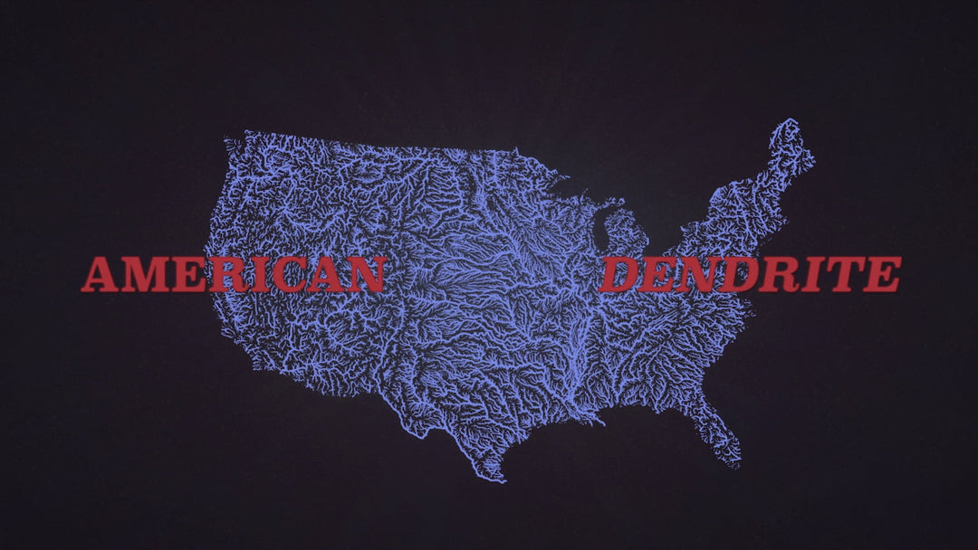 American Dendrite