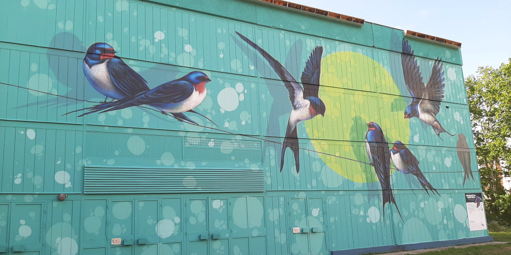 Swallow mural by Mondolo Association for Urban Metamorphosis project in Szeged, Hungary