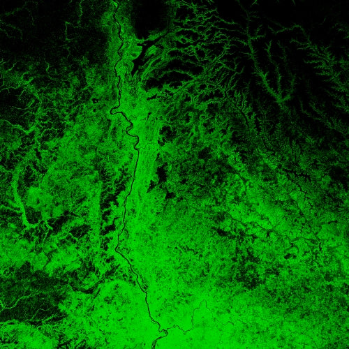 Forest maps by Grasshopper Geography