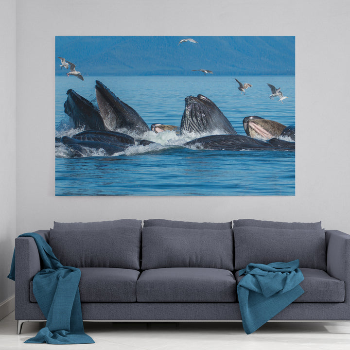 Buckelwale beim Fressen mit Blasennetzen III – Leinwand