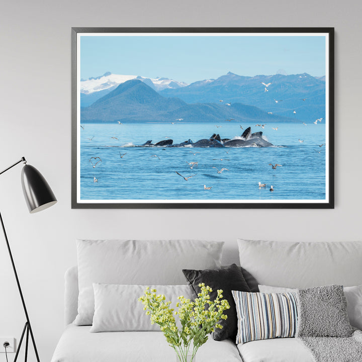 Humpback whales bubblenet feeding IV - Hahnemühle Photo Rag Print