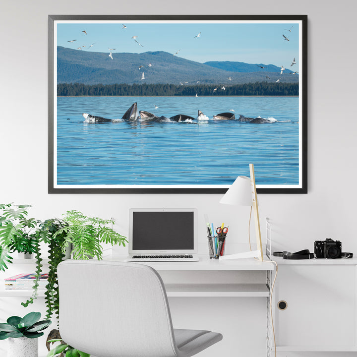 Кормление горбатых китов сетью-пузырьком V - Hahnemühle Photo Rag Print