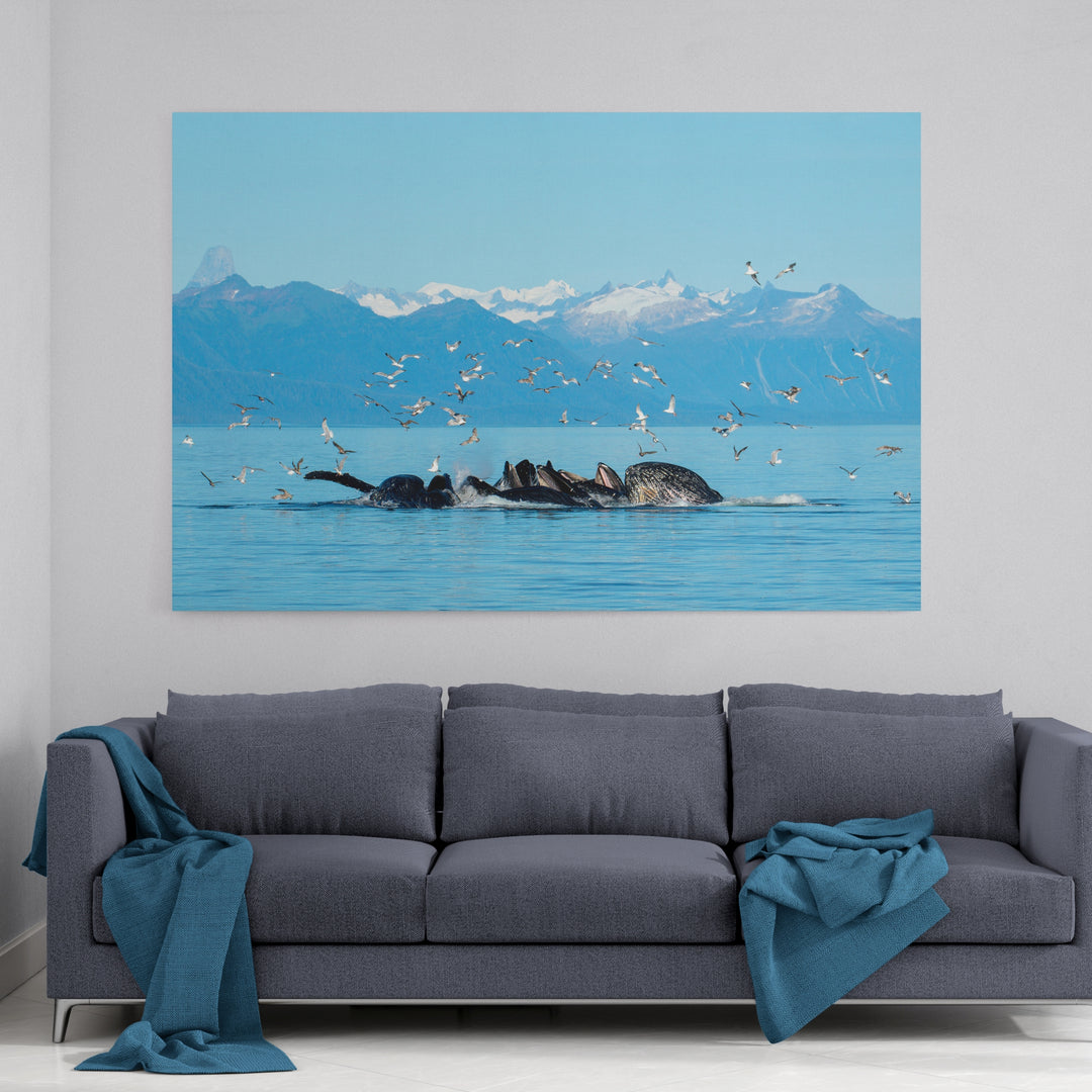 Humpback whales bubblenet feeding VIII - Canvas
