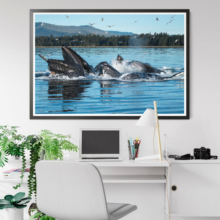 Humpback whales bubblenet feeding XIII - Hahnemühle Photo Rag Print