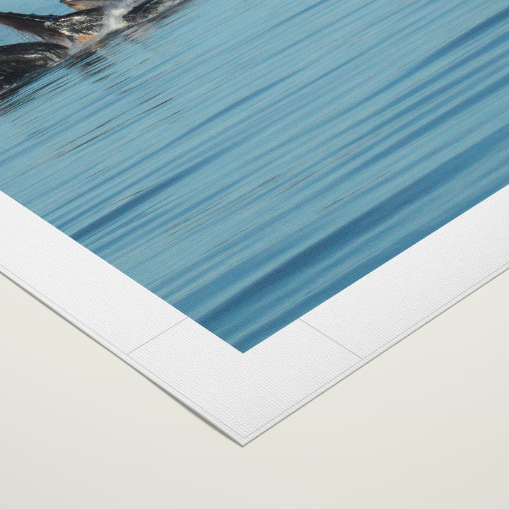 Humpback whales bubblenet feeding XIV - Rolled Canvas