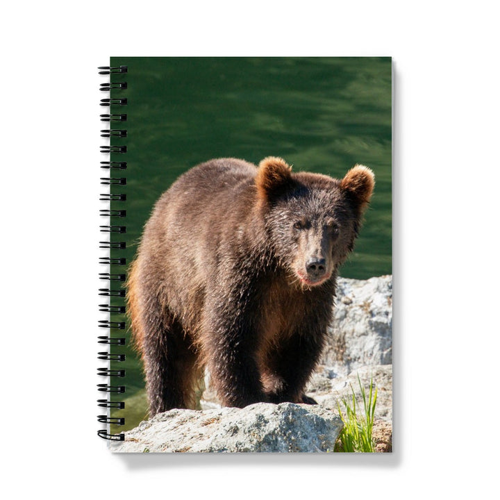 After lunch - Notebook