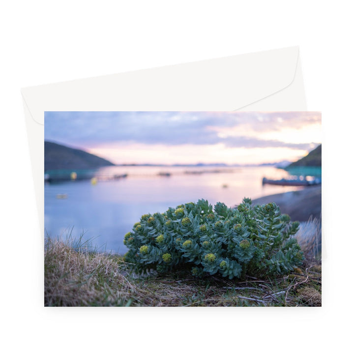 Alone on the coast II - Greeting Card
