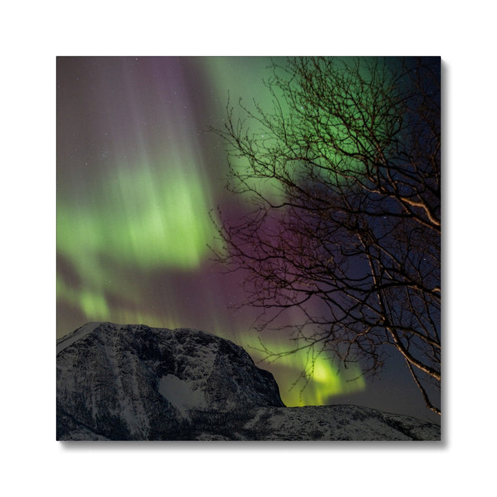 Aurora above Lundøya II - Canvas