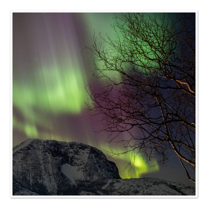 Полярное сияние над островом Лундёйя II - Hahnemühle Photo Rag Print