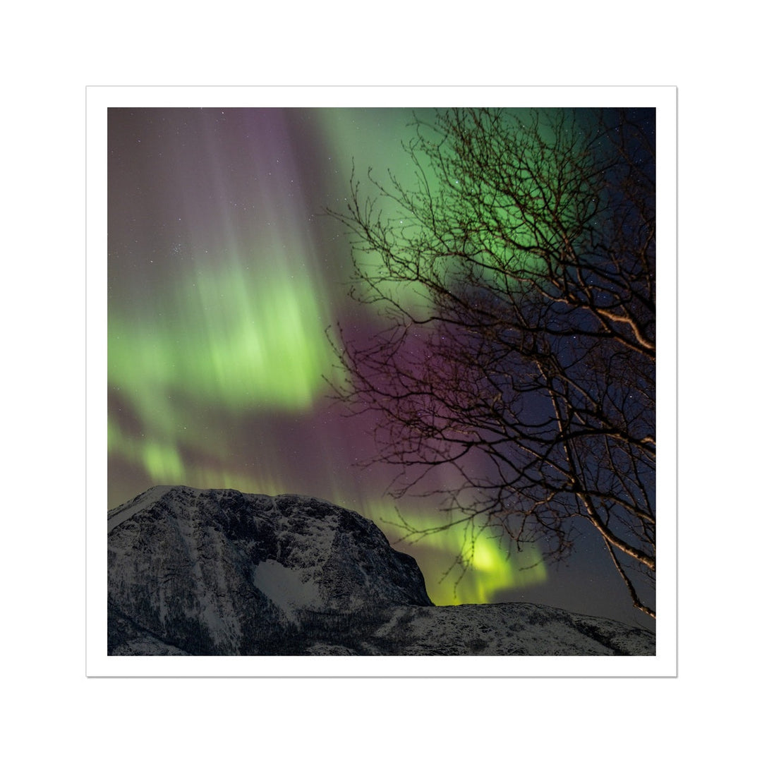 Aurora above Lundøya II - Rolled Canvas