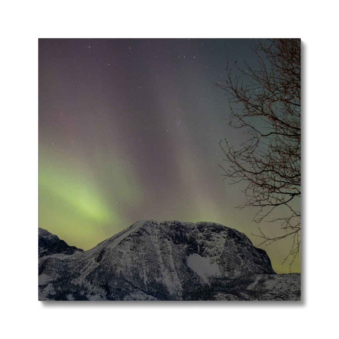 Aurora above Lundøya III - Canvas