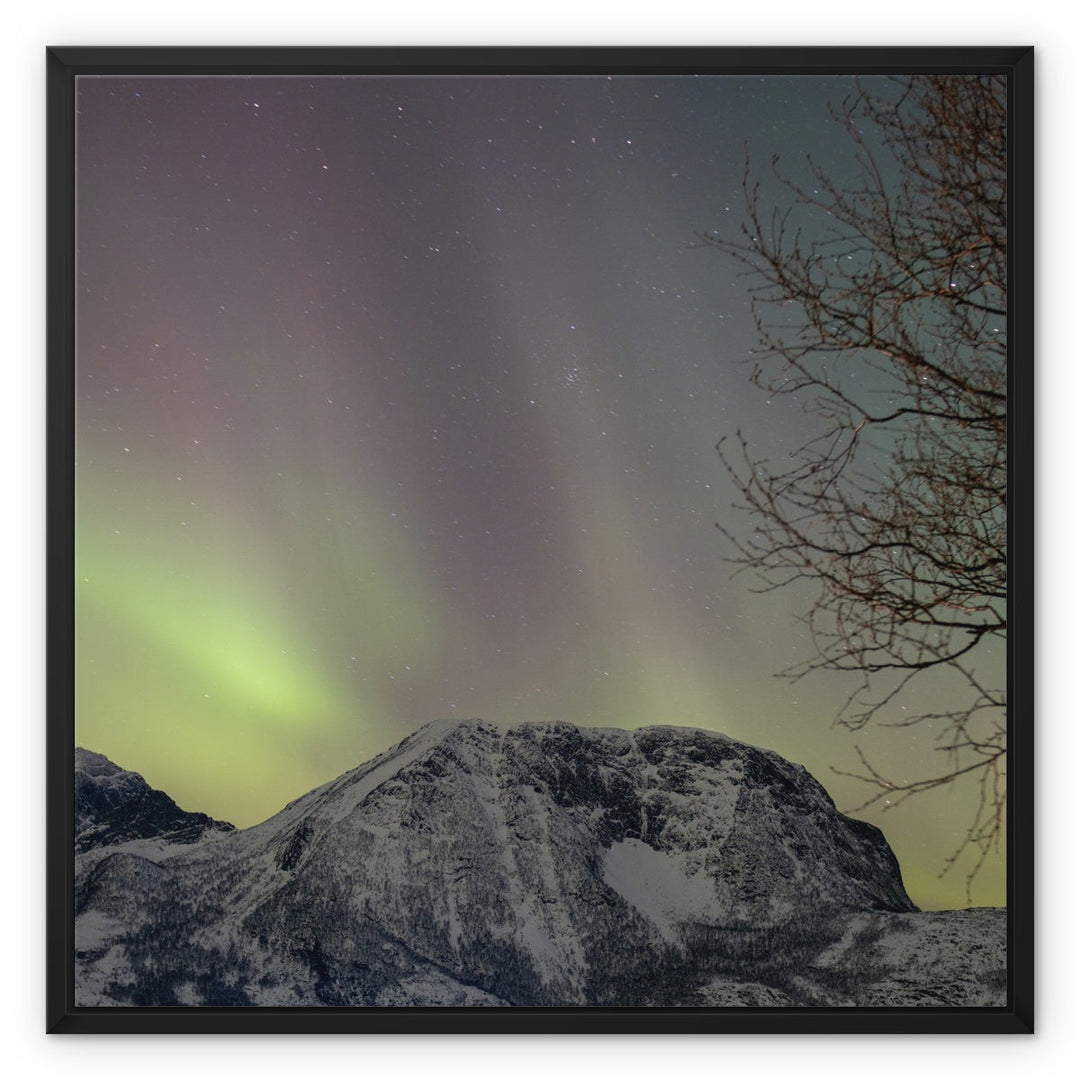 Aurora above Lundøya III - Framed Canvas