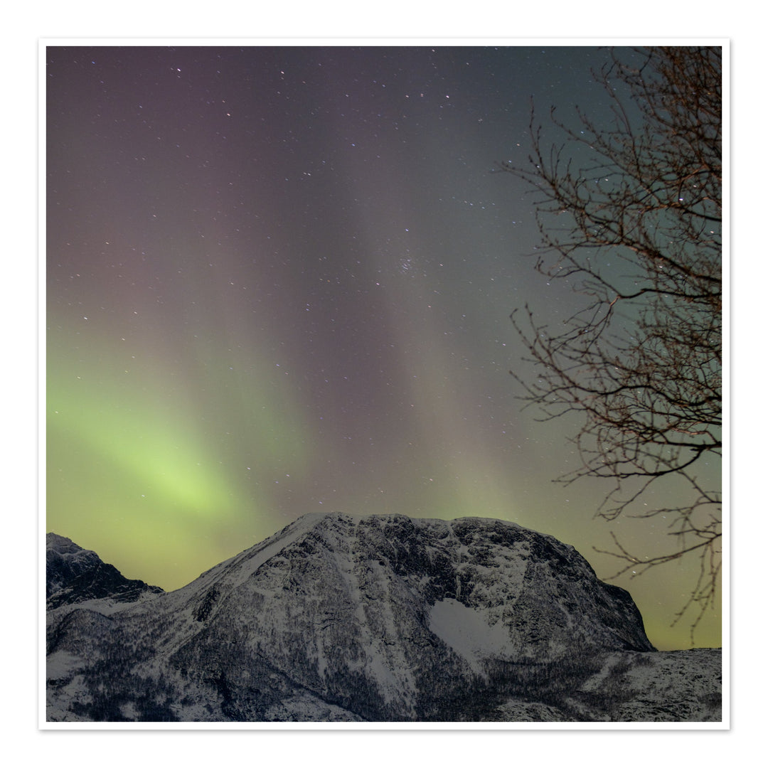 Aurora above Lundøya III - Hahnemühle Photo Rag Print