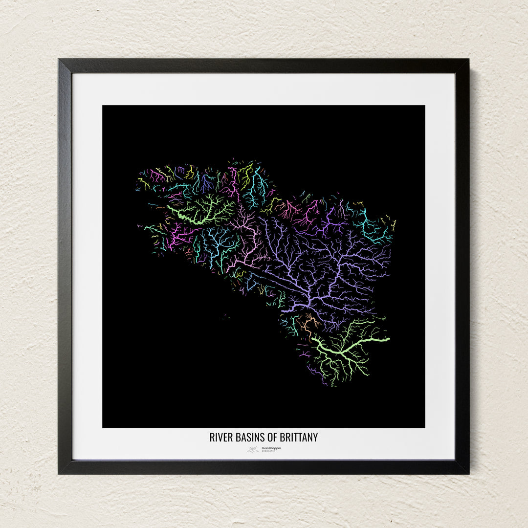A colorful Grasshopper Geography river map on a light wall. The premium fine art poster is in a black frame with a white border. The name of the country, continent or region is printed under the image.