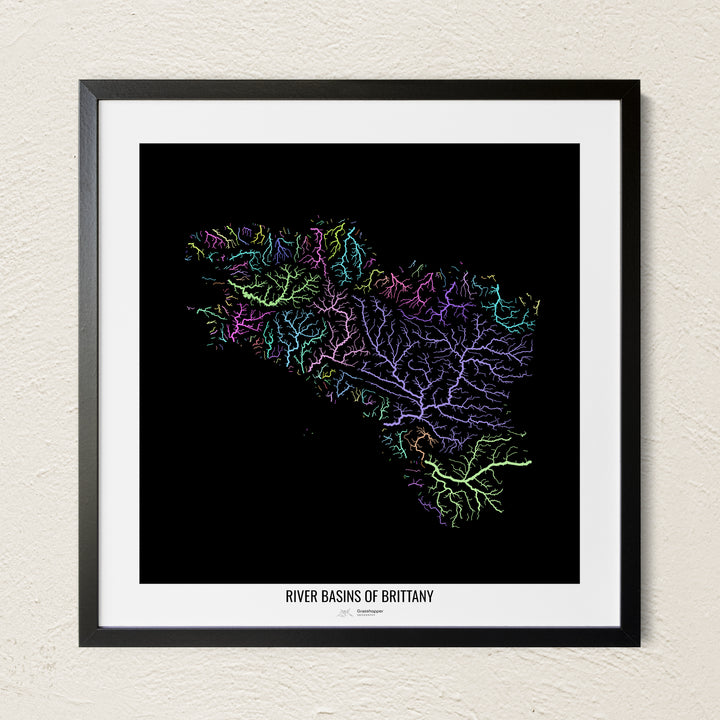 A colorful Grasshopper Geography river map on a light wall. The premium fine art poster is in a black frame with a white border. The name of the country, continent or region is printed under the image.