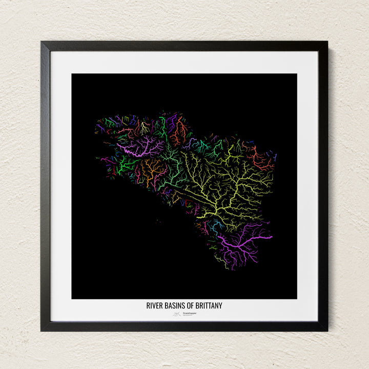 A colorful Grasshopper Geography river map on a light wall. The premium fine art poster is in a black frame with a white border. The name of the country, continent or region is printed under the image.