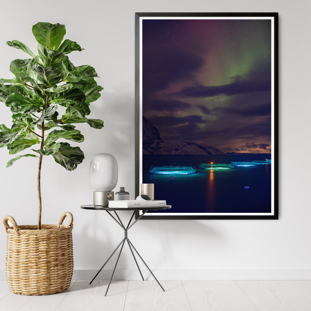 Canetas de peixe com aurora I - Impressão de arte fotográfica