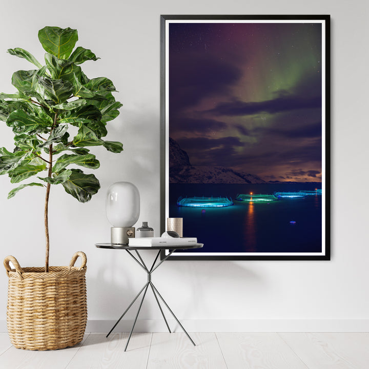 Canetas de peixe com aurora I - Impressão de arte fotográfica