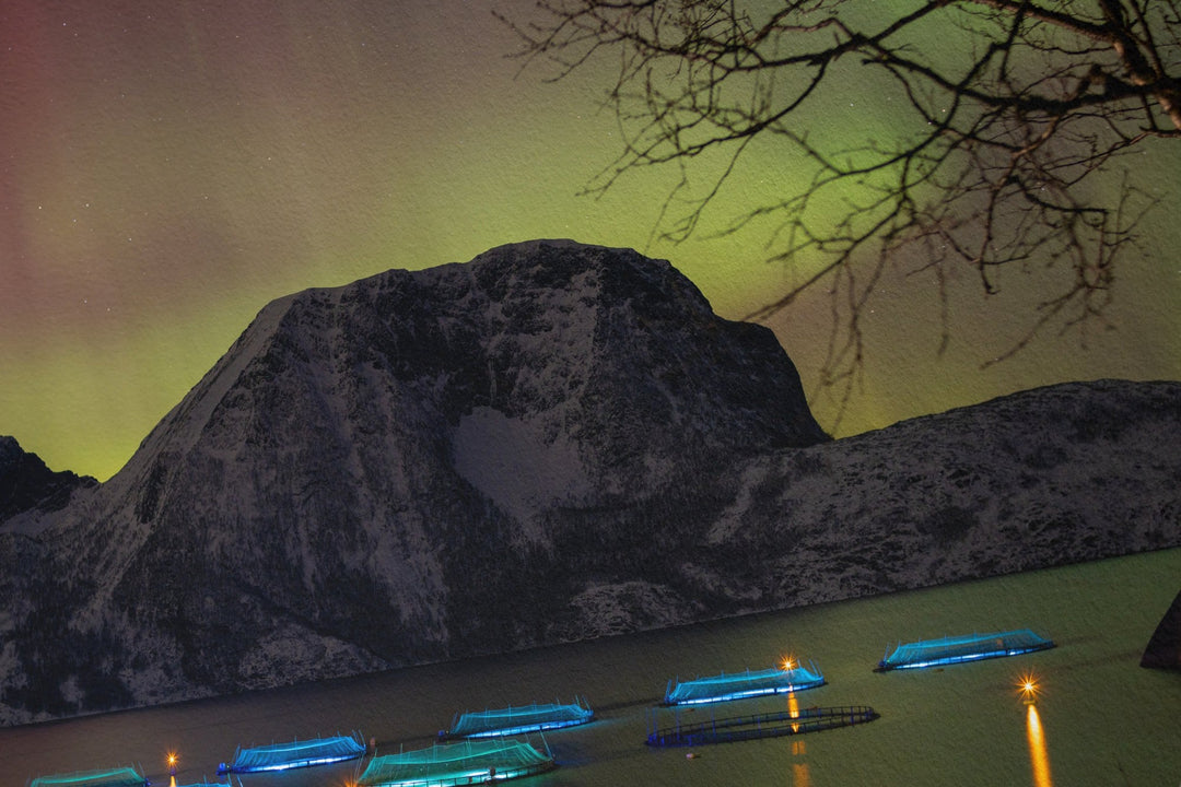 Fish pens across Lundøya with aurora I - Hahnemühle Photo Rag Print