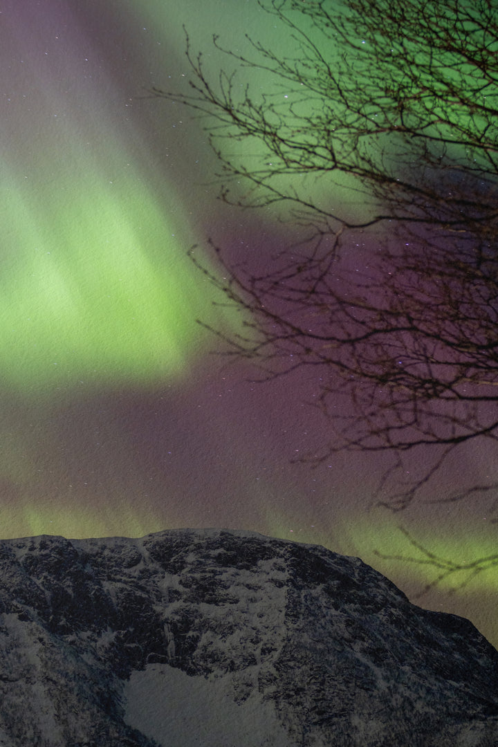 Aurora above Lundøya II - Hahnemühle Photo Rag Print