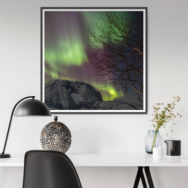 Полярное сияние над островом Лундёйя II - Hahnemühle Photo Rag Print