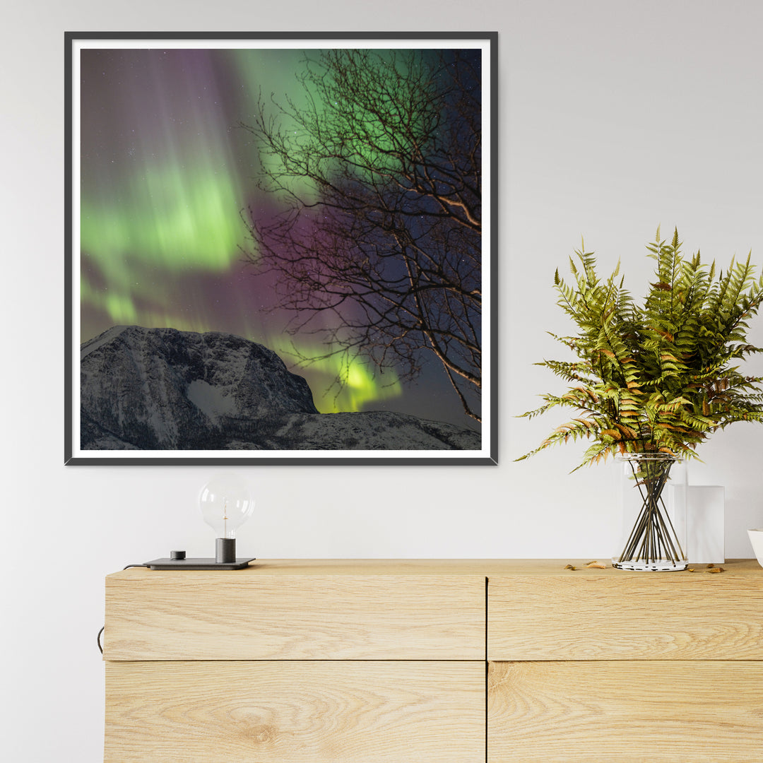 Aurora above Lundøya II - Photo Art Print