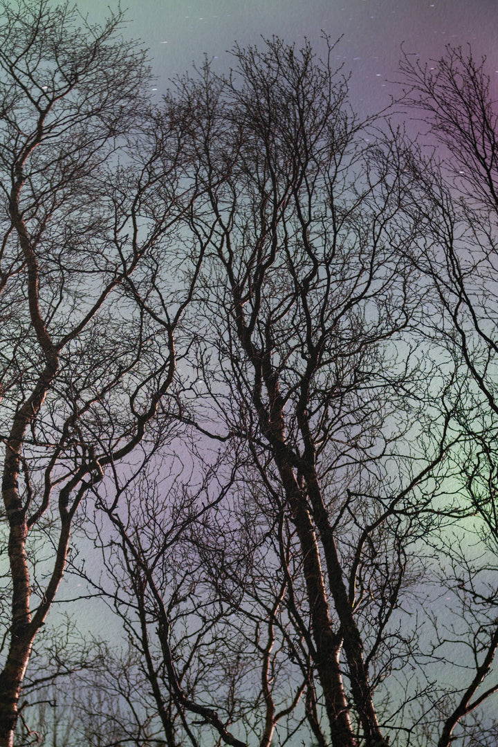 The three witches - Hahnemühle Photo Rag Print