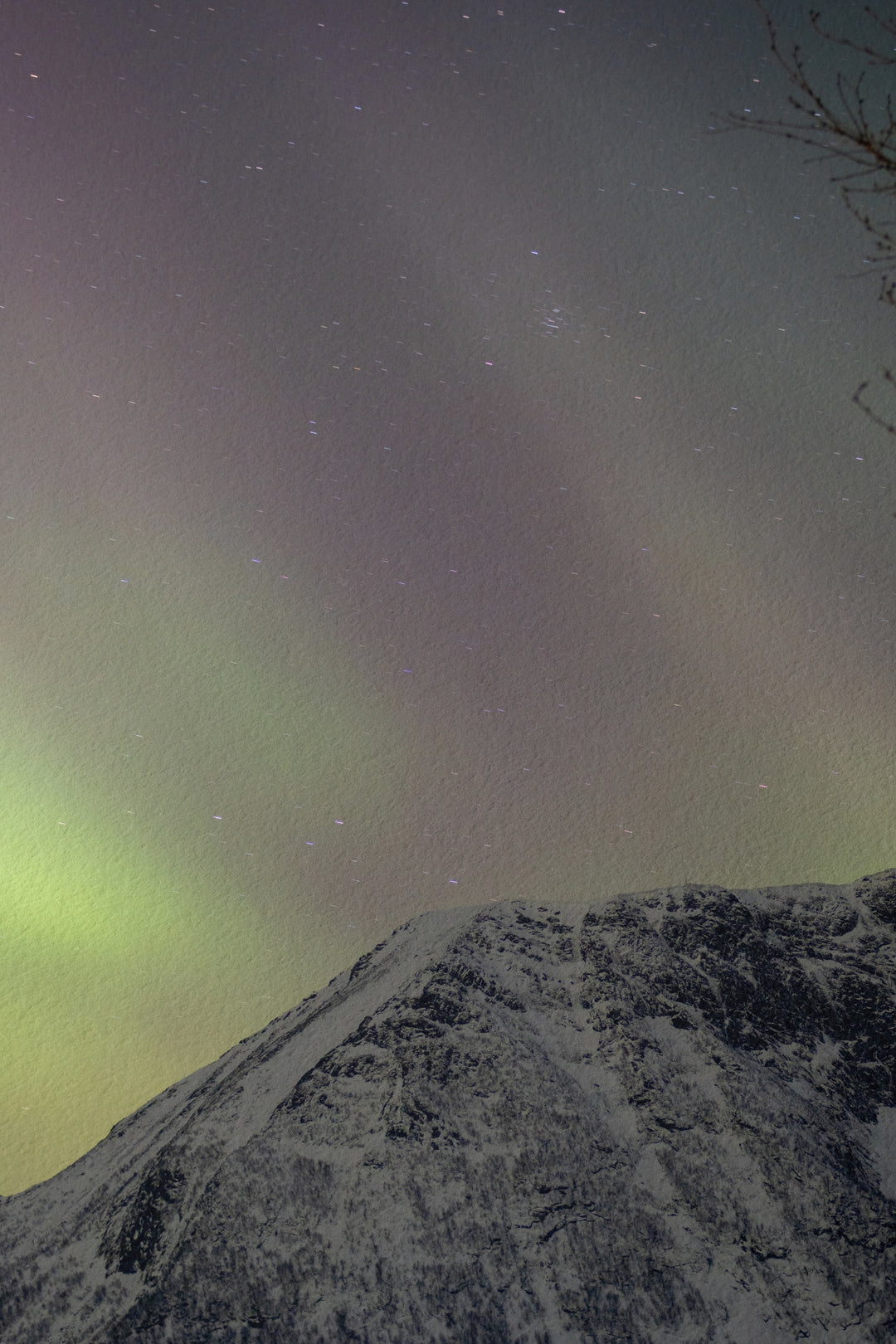Aurora above Lundøya III - Hahnemühle Photo Rag Print