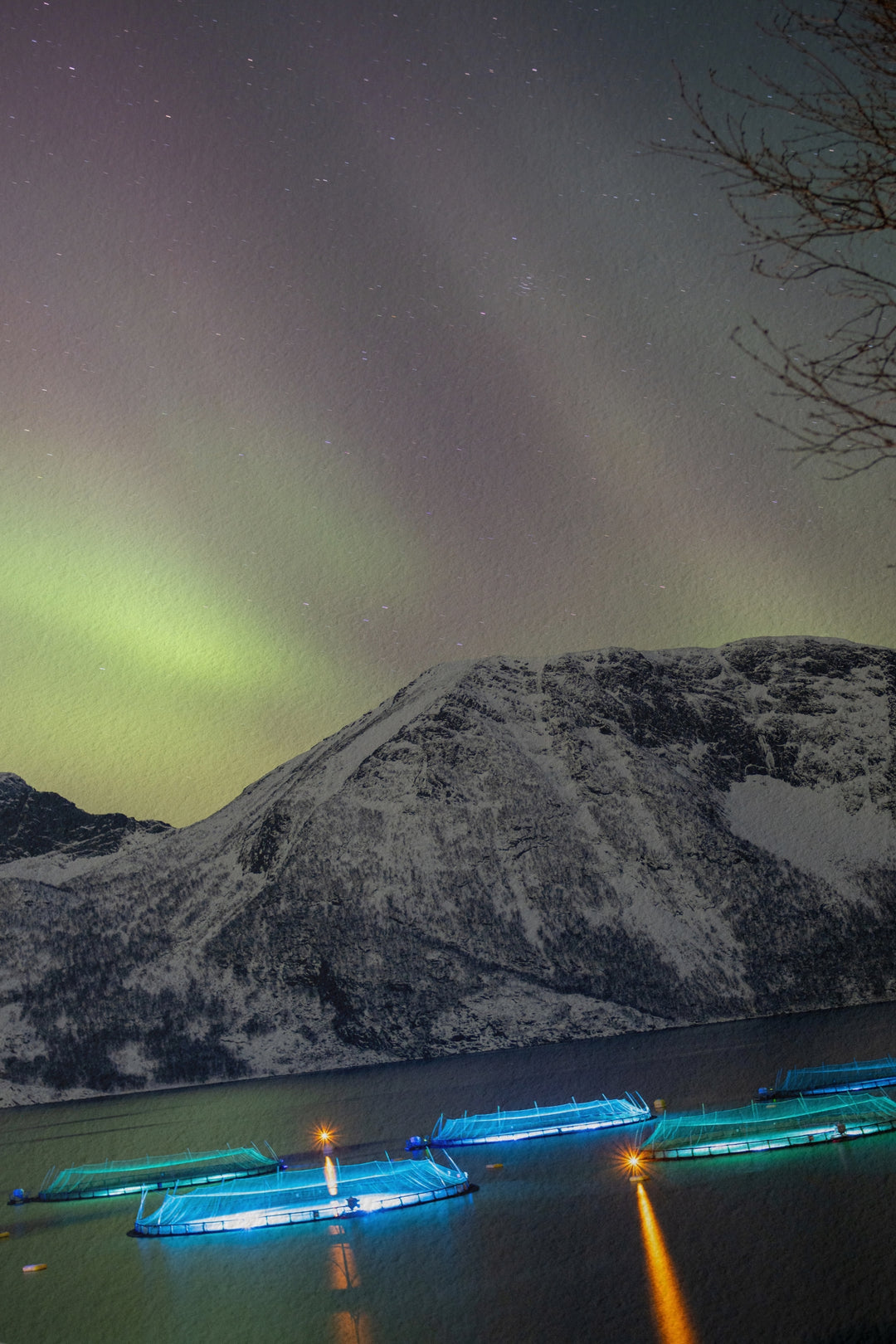 Fish pens across Lundøya with aurora III - Hahnemühle Photo Rag Print