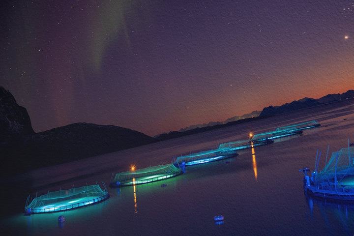 Fischgehege über Lundøya mit Aurora VI – Hahnemühle Photo Rag Print