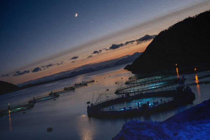 Puesta de sol sobre los corrales de peces con luna creciente II - Hahnemühle Photo Rag Print