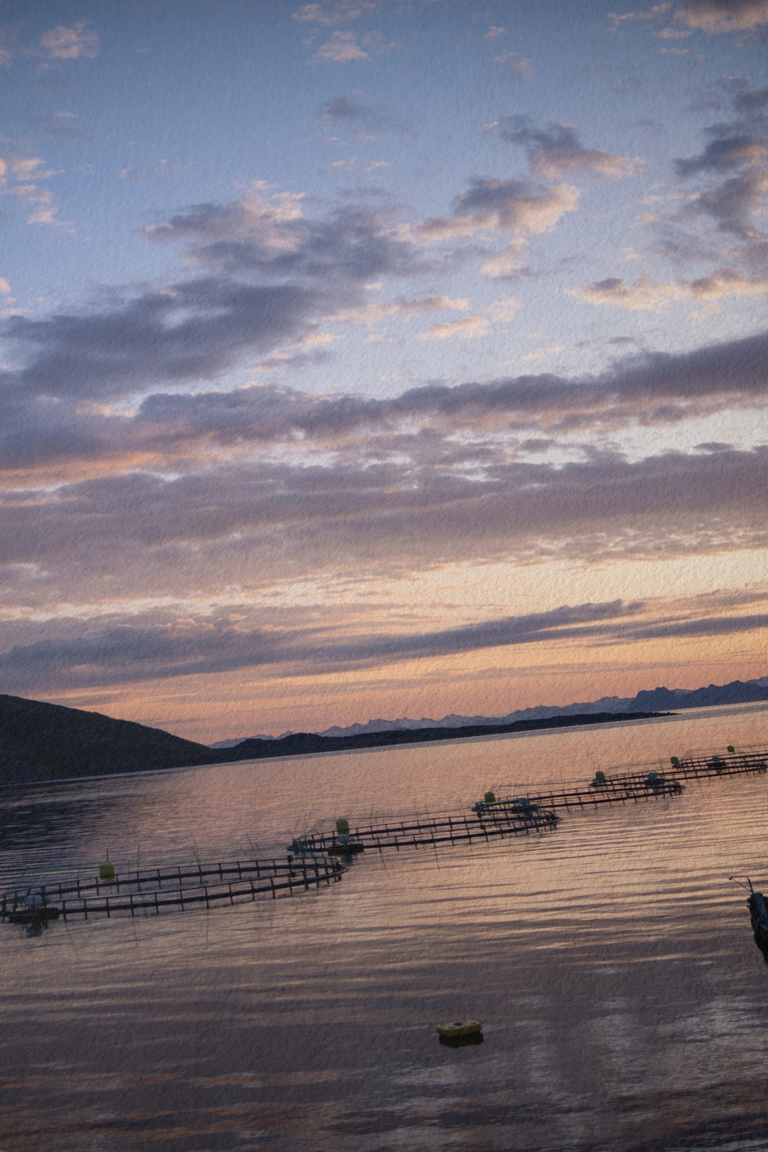 Sonnenuntergang über den Fischgehegen I - Hahnemühle Photo Rag Print