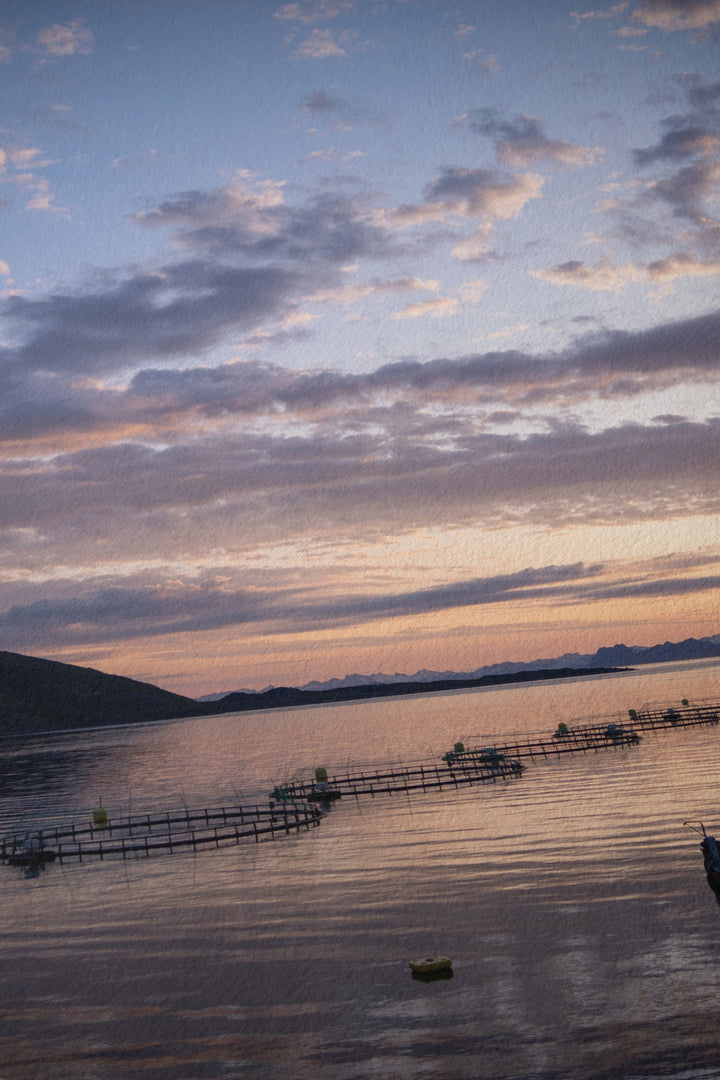 Sonnenuntergang über den Fischgehegen I - Hahnemühle Photo Rag Print