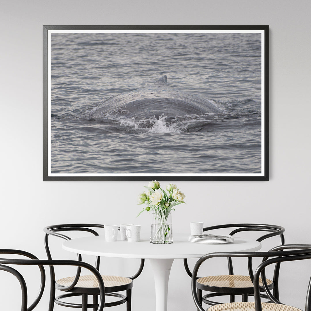 Biest - Fotokunstdruck