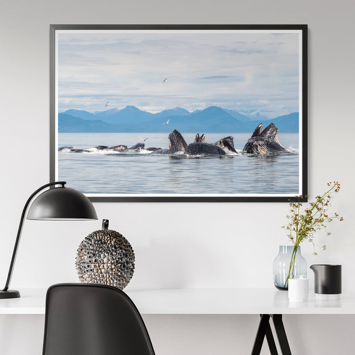 Кормление горбатых китов сетью-пузырьком XVII - Hahnemühle Photo Rag Print