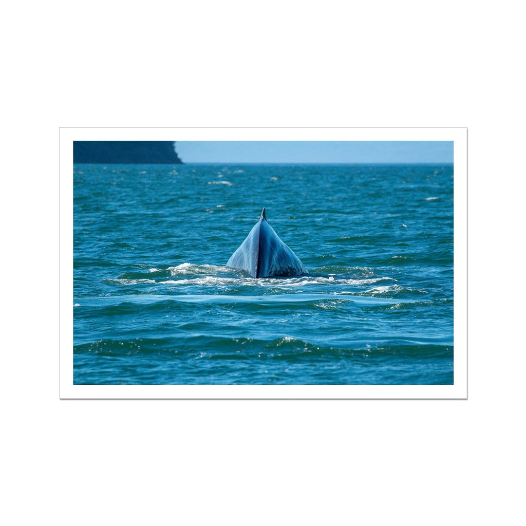 Deep Dive I – Gerollte Leinwand