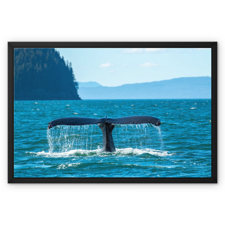 Deep dive II - Framed Canvas