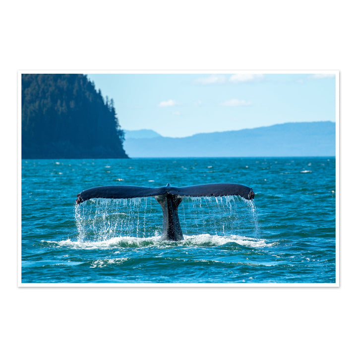 Deep dive II - Hahnemühle Photo Rag Print